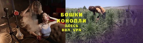 молекула духа Наволоки