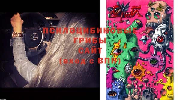 молекула духа Наволоки