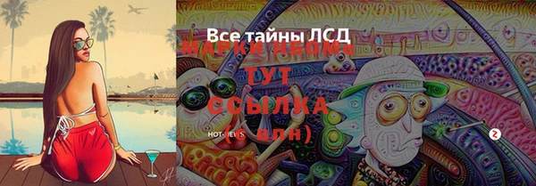 молекула духа Наволоки