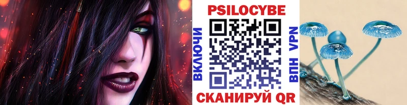 как найти закладки  mega рабочий сайт  Псилоцибиновые грибы Psilocybe  Железноводск 