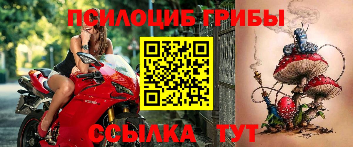 Железноводск  Галлюциногенные грибы ЛСД  Вход с VPN 
