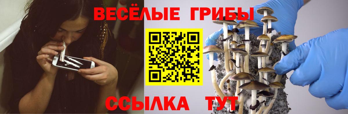 наркошоп  Железноводск  Галлюциногенные грибы Magic Shrooms 